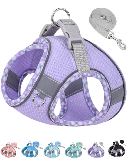 Petank Dog Harness for Small Medium Dogs No Pull, Puppy Harness and Leash Set, Step in Dog Harness for Walking, Running, Training, Small Dog Vest(Purple, S)