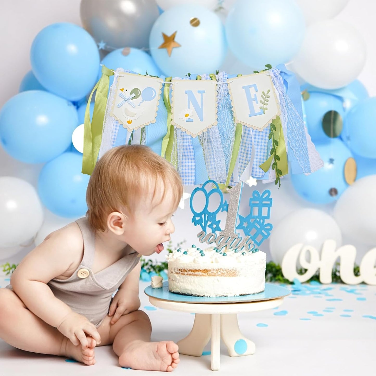 1st One Silly Goose High Chair Banner - Rustic Blue Ribbon Tassel Garland, NO DIY Required, Birthday Decoration