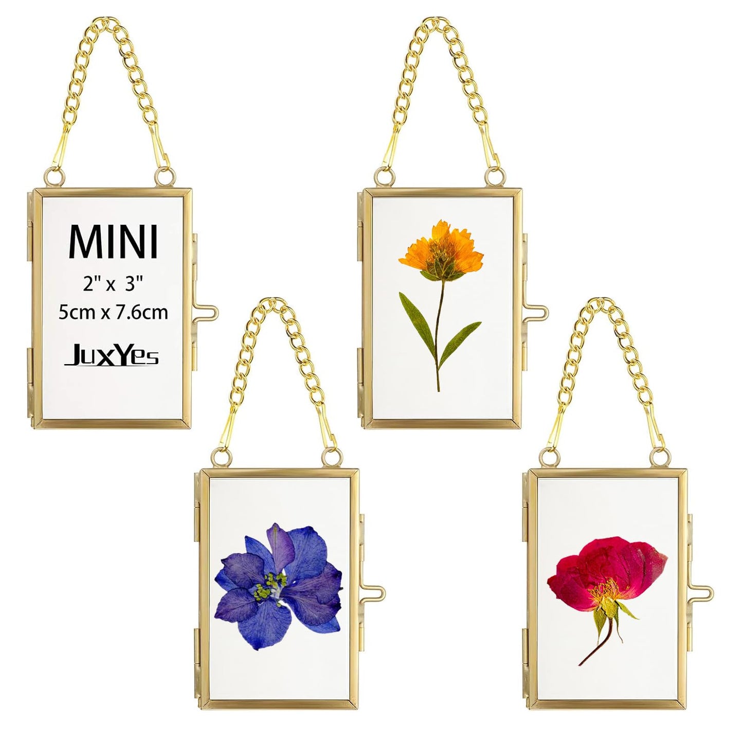 JUXYES 4 Pack Mini Brass Floating Frames Ornaments With Hanging Chain - Double Glass Tiny Picture Display Frame - Gold Wallet Size Floater Style Gallery Wall Frame for Pressed Flowers, Vertical