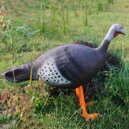 ZYCSKTL Archery Target Stand 3D Animal Model Target Frame, Outdoor Solid Simulation Practice Archery Target Frame, Archery Bow and Arrow Target (Color : Female Turkey)