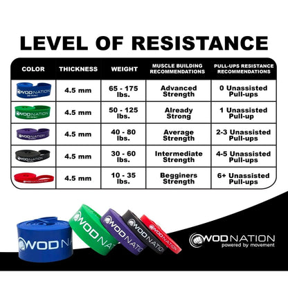 WOD Nation Pull Up Assistance Bands (10-175lbs Band) - Best for Pullup Assist, Chin Ups, Resistance Bands Exercise, Stretch, Mobility Work & Serious Fitness - 41 inch Straps