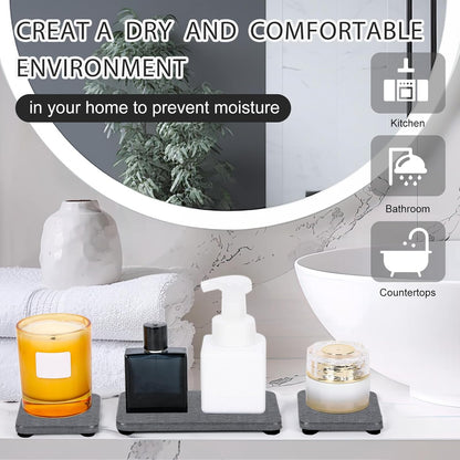 Skiennix Water Absorbing Stone Tray - Fast Drying Diatomite Coaster Set | 4PCS for Kitchen & Bathroom