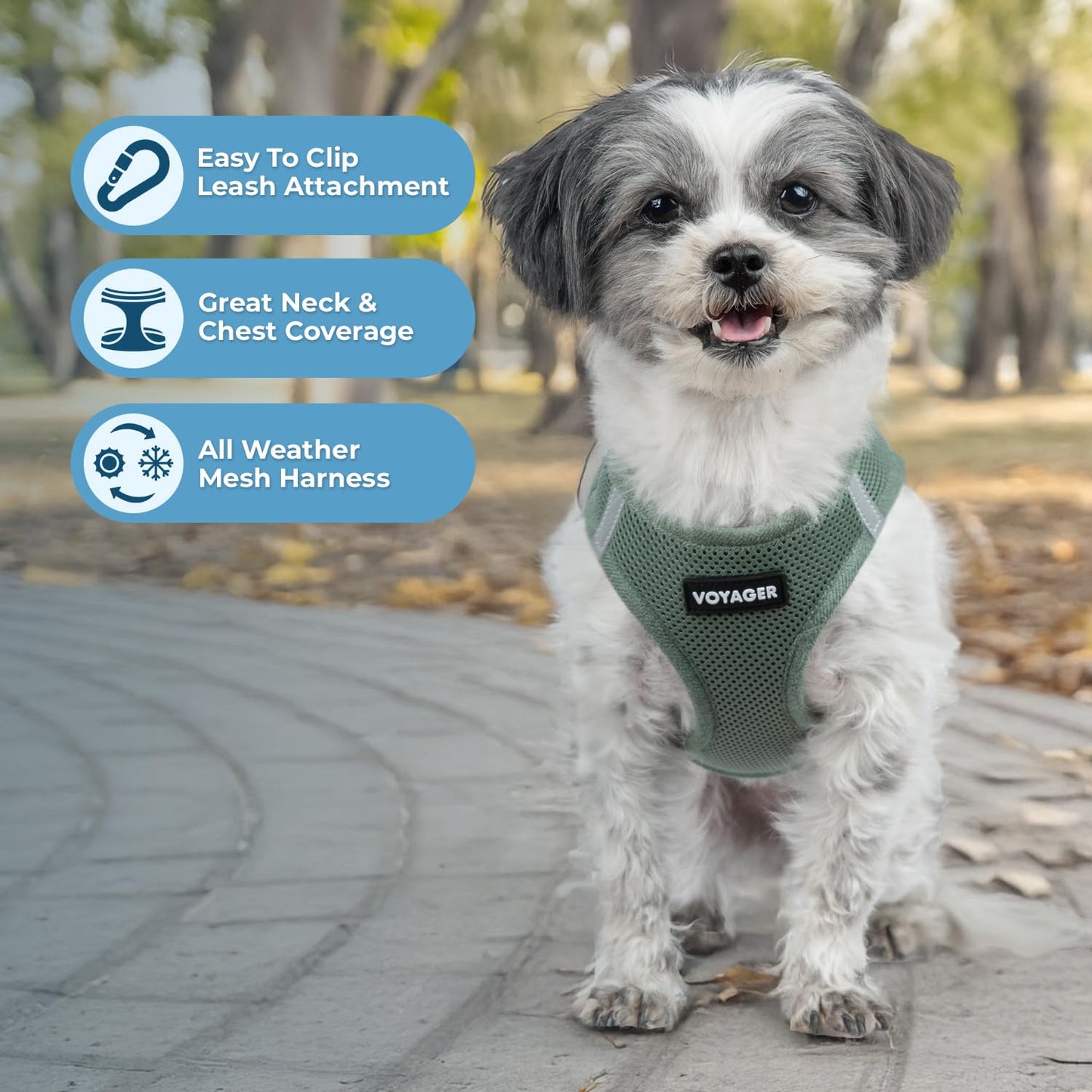 Best Pet Supplies - All Weather Mesh, Reflective, No Pull Harness for Small, Medium Dogs, Cats - Secure with Hook & Loop Fastener, Buckle, Double D-Rings - Moss Green, S (Chest: 14.5-16")