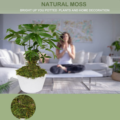 ZYAPA 35 OZ Moss for Potted Plants Fake Moss for Fake Plants,Artificial Moss for Crafts,Faux Moss for Fake Plants Decroative Moss Artificial Green Moss
