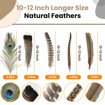 MARRTEUM 5 Style 10-12 Inch Natural Feathers, 20 Pcs Large Assorted Mixed Spotted Pheasant Peacock Turkey Feathers Decorative Bulk for DIY Crafts, Vase, Hat, Clothing, Wedding, Home, Party Decoration