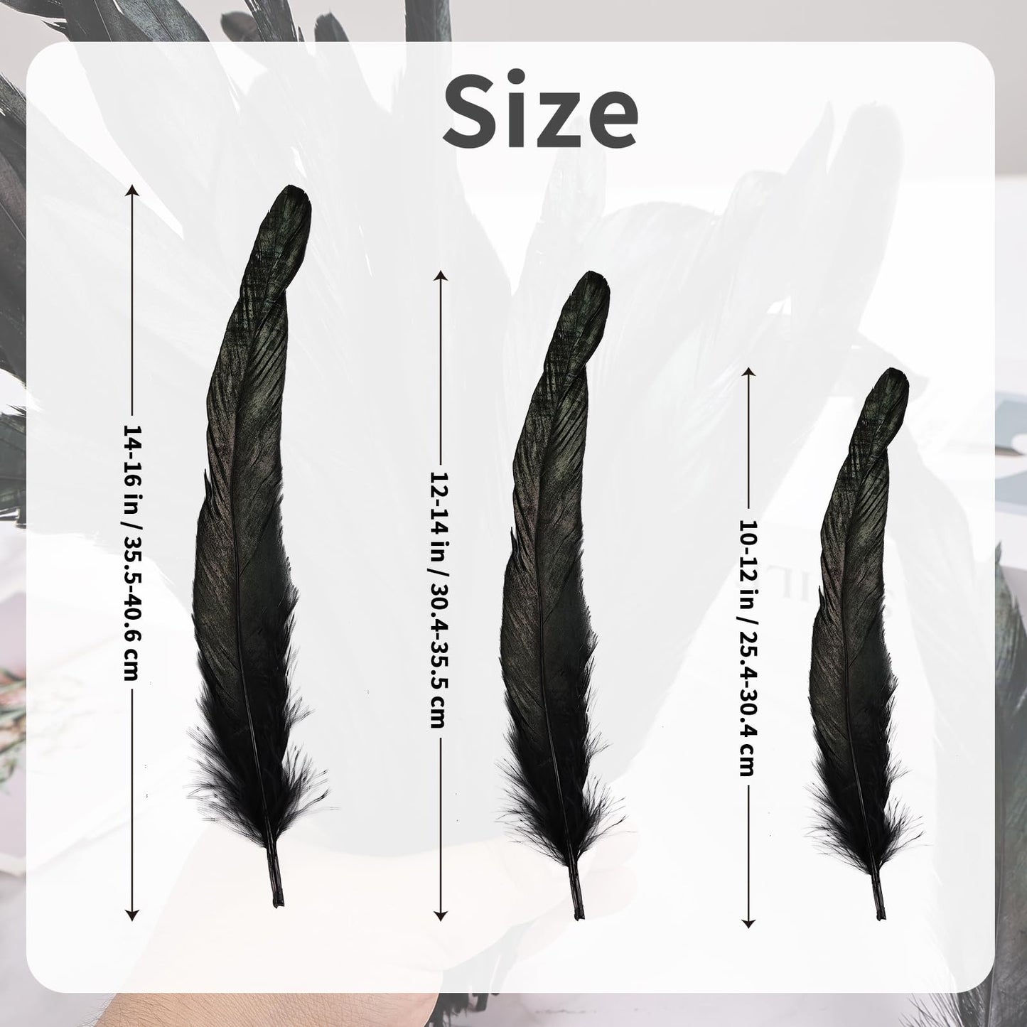 150 Pcs Natural Rooster Tail Feathers, 14-16" 12-14" 10-12" (50 Each), Bulk for DIY Crafting, Hat Decoration, Wedding, Halloween Costume & Masquerade Party Supplies (Black)