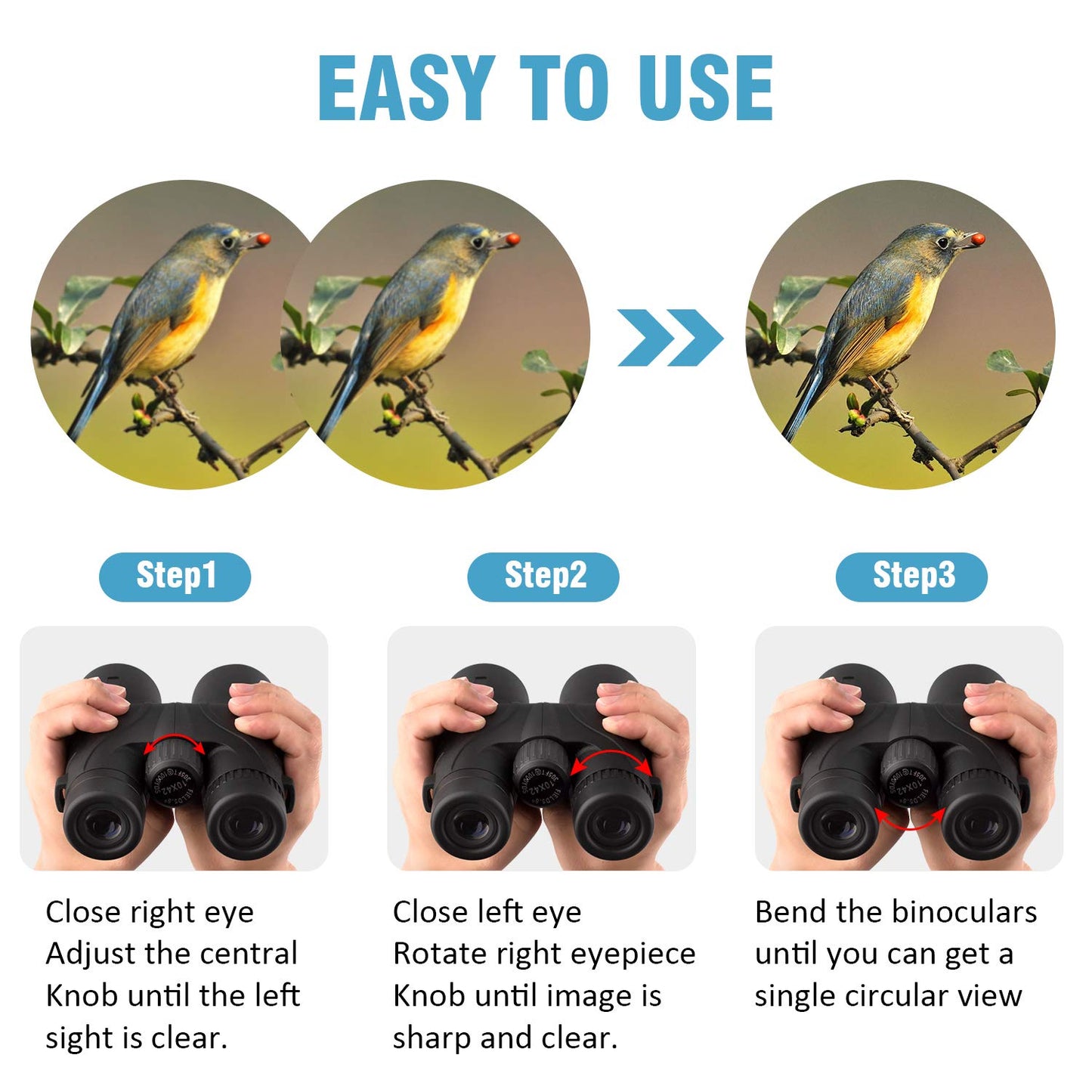 Binoteck 10x42 Binoculars for Adults - Professional HD Roof BAK4 Prism Lens Binoculars for Bird Watching, Hunting, Travel, Sports, Cruise, Concert, with Carrying Bag