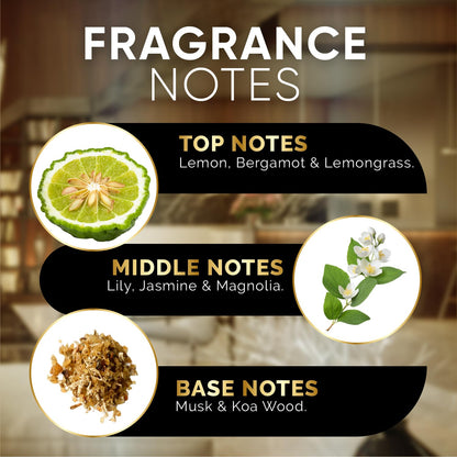 Luxury Hotel Diffuser Oil for Hotels and Homes - Aromatherapy Oils for use with an Essential Oil Diffuser at Home - Fragrance-Scent Diffuser Oil Blend (Winter Spruce) 4.05fl oz (120ml)