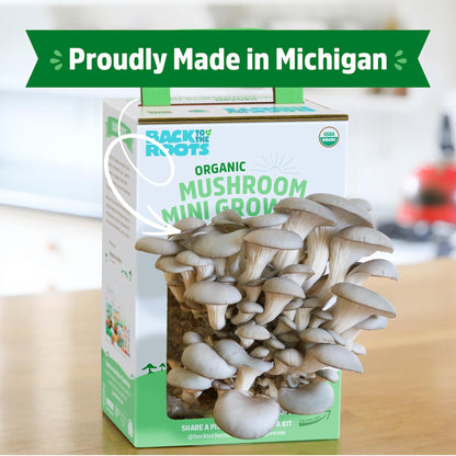 Back to the Roots Organic Mini Mushroom Grow Kit, Harvest Gourmet Oyster Mushrooms In 10 days, Top Gardening Gift, Holiday Gift, & Unique Gift