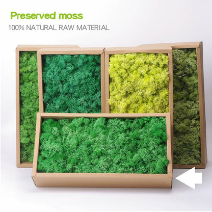 Preserved Reindeer Craft Moss-17.6oz Natural Green DIY Kit Gardenning Art Wall Florist Moss Terrariums Gardenning Decor Landscape Garden Decor(Leaf Green 17.6 OZ)