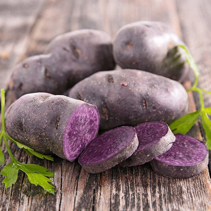 3 2026-1 TomorrowSeeds - Colors Mix Seed Potatoes - USDA Certified for Growers Blue Red Gold Potato Adirondack Pontiac