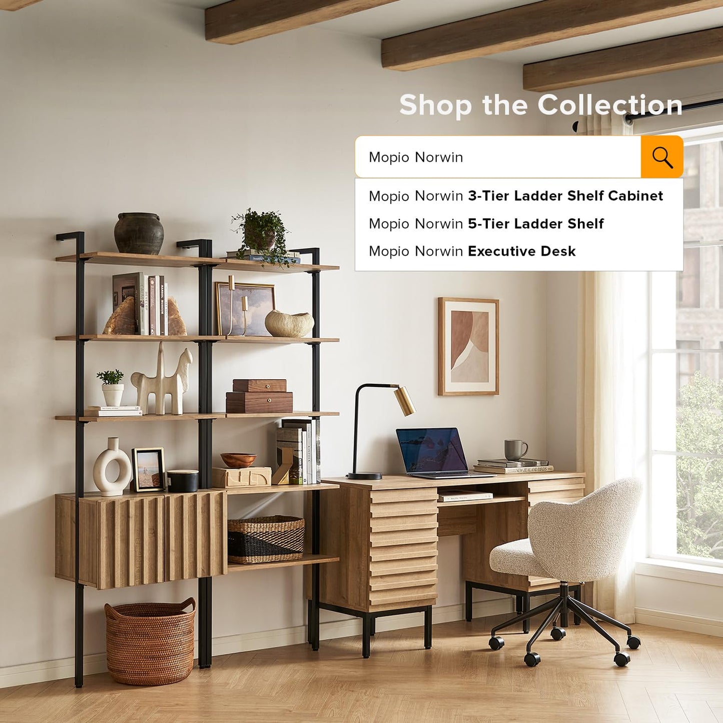 mopio Norwin Ladder Book Shelf, Wall-Mount Storage Rack, Wall Bookshelf, Farmhouse Industrial Bookcase, Narrow Slim Organizer, Steel Frame Display Shelves, Living Room, Bedroom (3-Tier Cabinet Single)