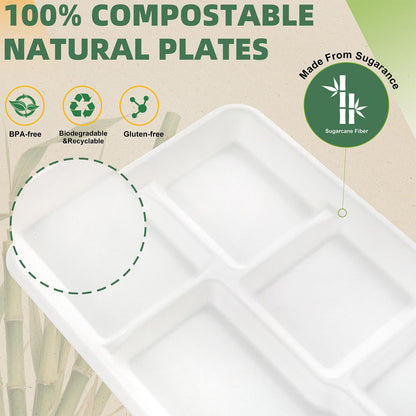 WELLIFE 100% Compostable 5 Compartment Paper Plates, 100 Pack Disposable School Lunch Trays Divided Plates for Adult Youth, 12.5 * 8.6 inch Heavy Duty Eco-Friendly Bagasse Plate for Buffet and Party