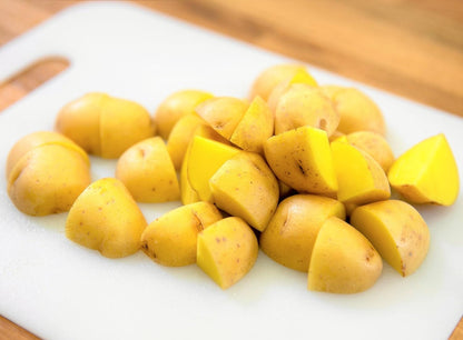2026-5 TomorrowSeeds - Yukon Gold Seed Potatoes - USDA Certified for Growers Tuber Yellow Skin New Potato Garden