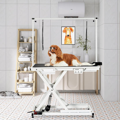 GarveeTech 50" Dog Grooming Table, Electric Hydraulic Grooming Table for Large Dogs or Small Dogs, Aluminium Overhead Arm, Anti Slip Tabletop, 6 USB Ports, Home & Salon Use, Max Capacity 330Lb, White