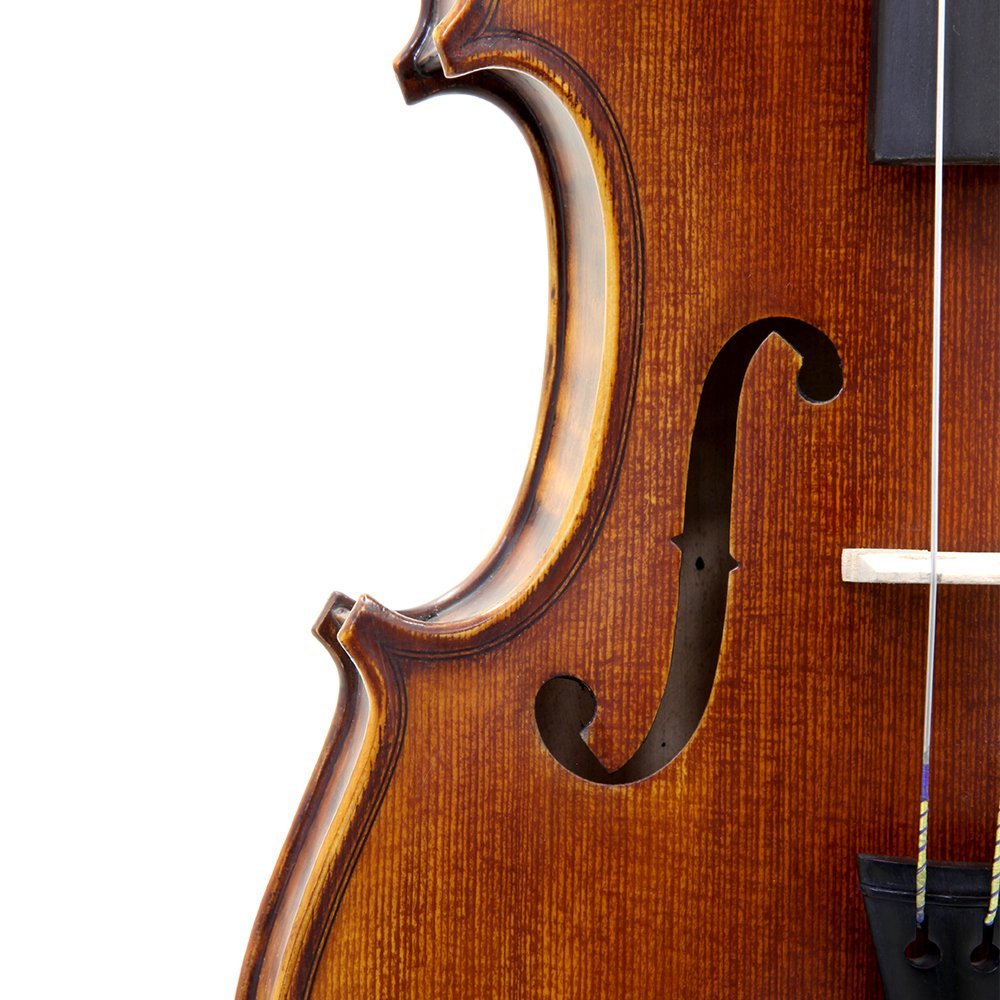 Paititi 4/4 Full Size PTVNSH100 Premium Hand Carved Ebony Fitted Violin Outfit with Case, Bow, String, Tuner, Mute and Rosin