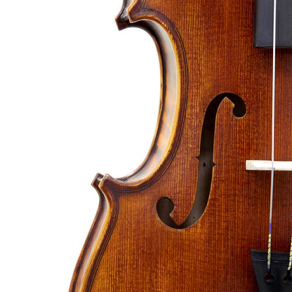 Paititi 4/4 Full Size PTVNSH100 Premium Hand Carved Ebony Fitted Violin Outfit with Case, Bow, String, Tuner, Mute and Rosin