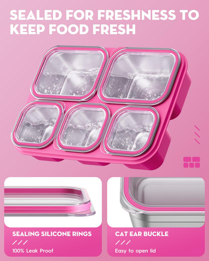 BiuLeon Snackle Box Containers, Stainless Steel 5 Compartments Divided Serving Tray with Lid, Removable LeakProof Portable Bento Box for Fruit Candy Nuts Food - School, Picnic and Travel（Pink）