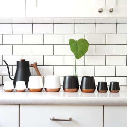 Fellow Joey Double Wall Ceramic Coffee Mug - Refined Matte White, Single 8 oz Cup