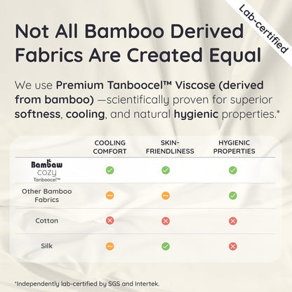 Bambaw Bamboo Sheets Set - 100% Viscose Cooling Queen Size | Super Soft, Deep Pocket, Charcoal