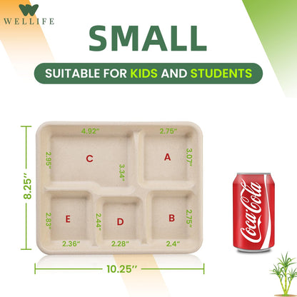 WELLIFE 125 Pack Kids Small 5-Compartment Paper Plates, 10.25x8.25 Inch 100% Compostable Divided Plates, Disposable School Lunch Trays, Eco-Friendly Bagasse Plate for Boys Girls and Youth (BPA Free)