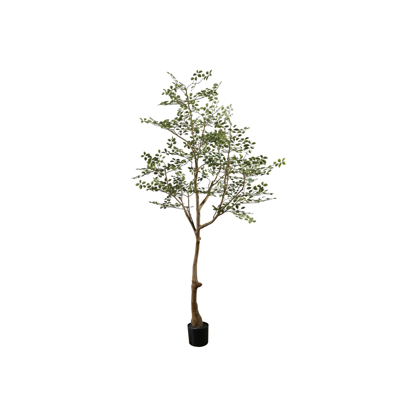 Creative Co-Op Faux Crepe Myrtle Tree in Plastic Pot