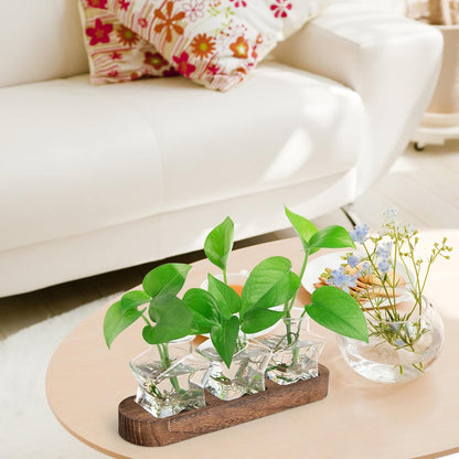 ohohFLOWER Plant Propagation Stations, Plant Lover Gift, Star Shaped Glass Vase with Wooden Stand for Propagating