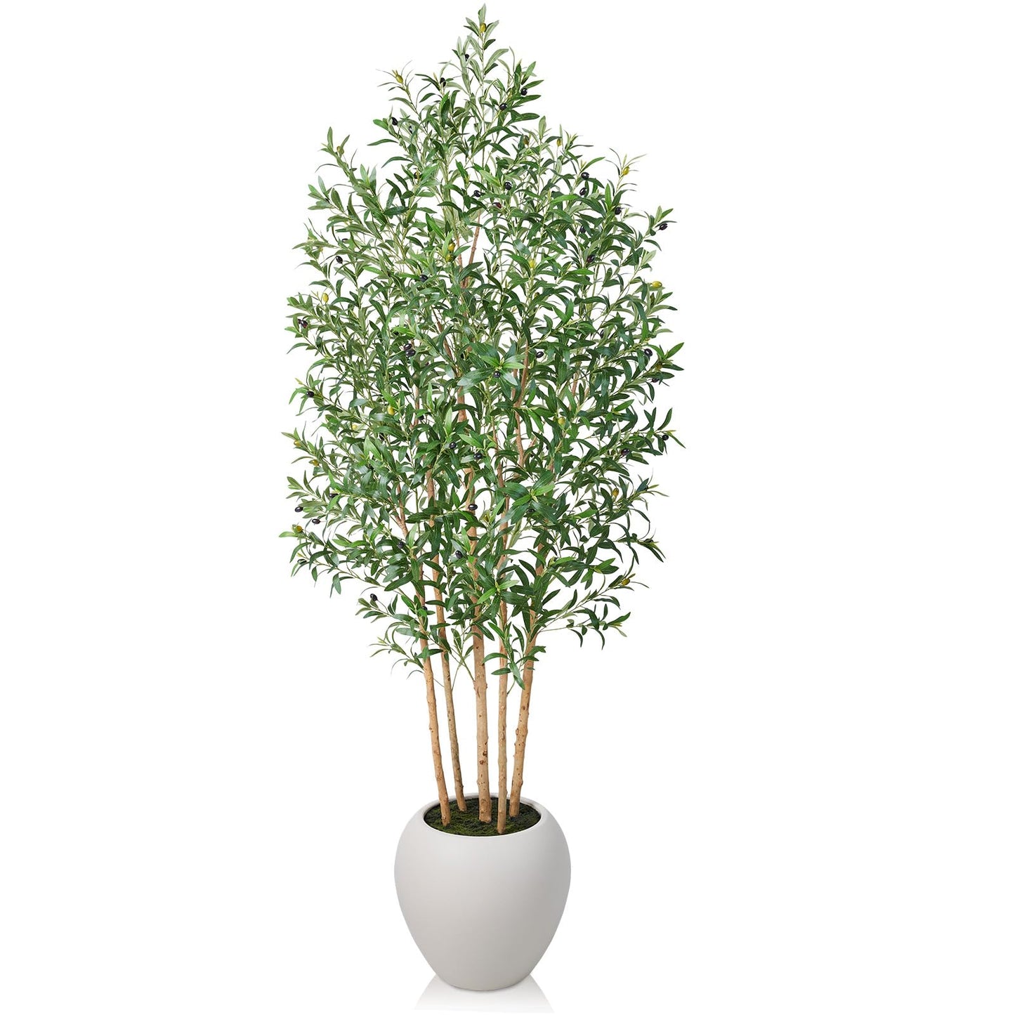 VeriNatural 8FT Olive Trees Artificial Indoor, Faux Olive Tree with Natural Wood Trunk, Lifelike Fake Plant with White Planter Included, Realistic Artificial Plants for Home Office Living Room Decor