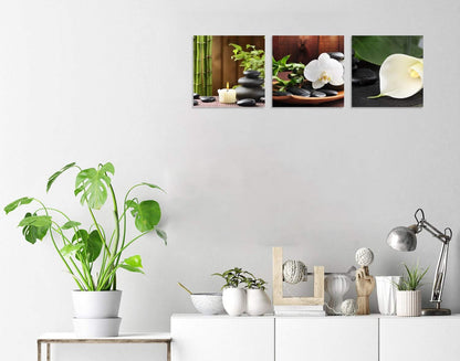 TutuBeer 3 Panels Spa Decor | Zen Decor Spa Stone Green Bamboo White Frangipani Flower Canvas Prints