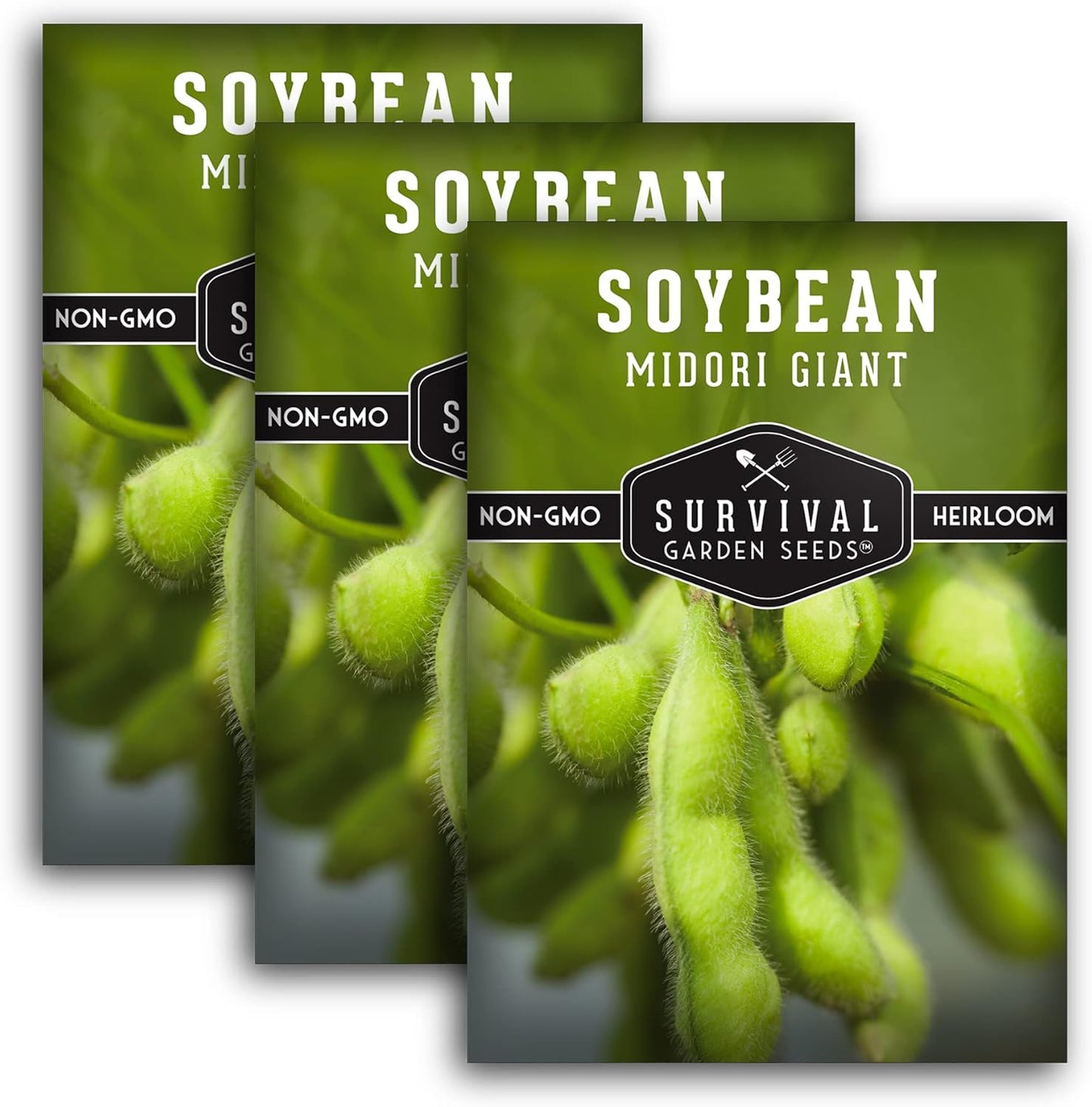 (3 Packs) Midori Giant Soybean Seeds for Planting - Grow Protein-Rich Edamame Pods in Your Home Vegetable Garden