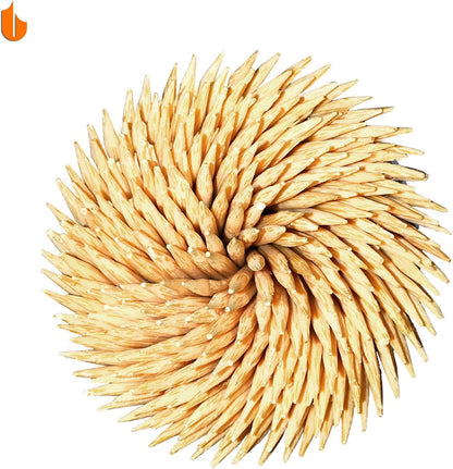 Urbanstrive Sturdy Toothpick Holder with 800 Natural Wood Toothpicks - Unique Home Design Decoration, 2 Pack