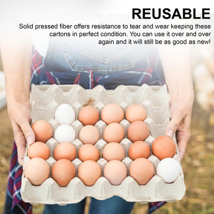 Biodegradable Pulp Fiber Egg Flats - 15 Pieces for Storing up to 30 Large or Small Eggs/Egg Crates That Make a Great Home for Roach Colony by MT Products