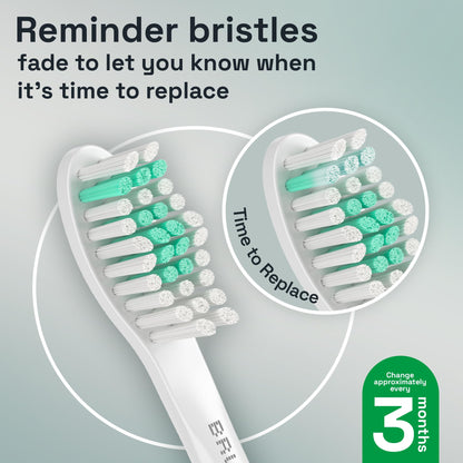 Brushmo e-Series Electric Sonic Toothbrush - Rechargeable Screw-On Electronic Tooth Brush for Adults with 3 Modes & Timer - IPX7 Waterproof, Long-Lasting Battery & Wireless Charging Base - White