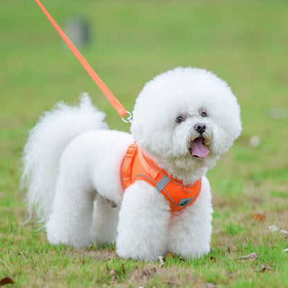 Dog Harness and Leash Set for Walking, Escape Proof Vest Harness with Soft Mesh, Adjustable Strap, Reflective Strips for Kitten Cats and Puppy Dogs