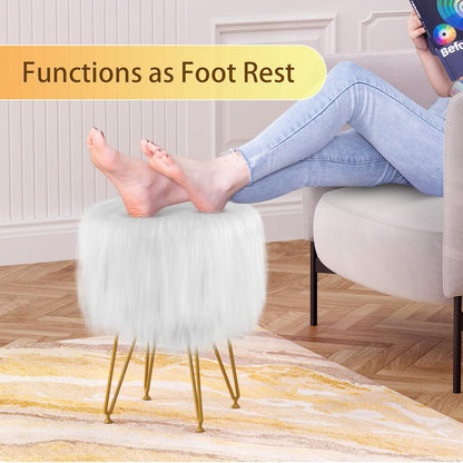 4 Vanity Stool Chair with Storage, Faux Fur Makeup Room Seat Stool, Soft Padded Seat, Round Footrest Footstools
