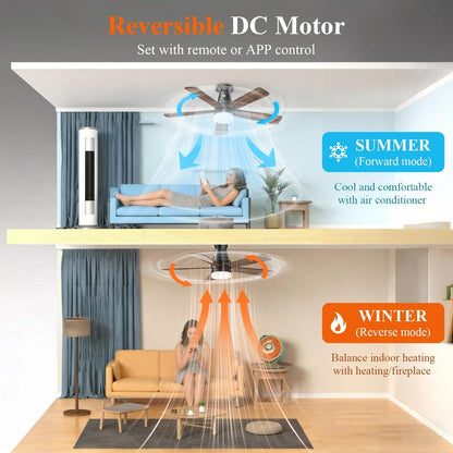 Minthouz Ceiling Fans with Lights, 42 inch Ceiling Fan with Light with APP/Remote Control, 6000K Dimmable LED, Modern Flush Mount Ceiling Fan for Indoor Bedroom Living Room, DC Reversible, Black