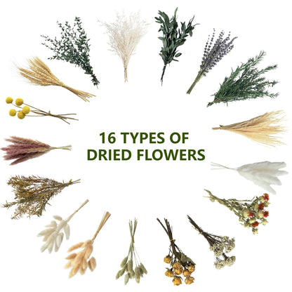 16 Varieties Dried Flowers Set, Mini Natural Dried Flowers Bulk with Stems for Vase Fillers, DIY Crafts, Wreath Making, Rustic Farmhouse Boho Home Decor, Wedding Floral Arrangement Brown Mix (7"-8")