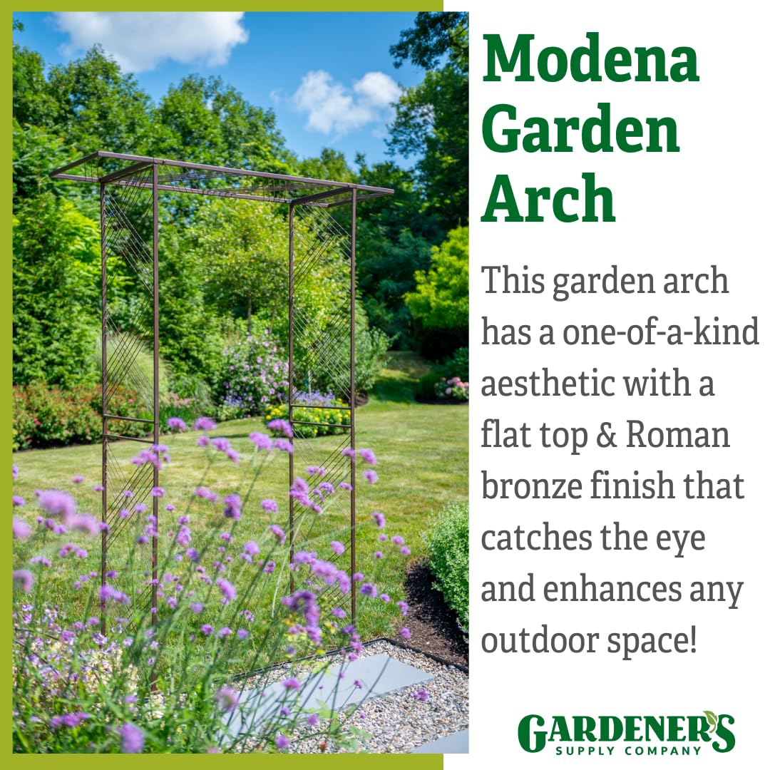Gardener's Supply Company Modena Arch | Flat Top Garden Arch Made of Durable Powder-Coated Steel Perfect for Garden Entrance or Support for Climbing Plants & Vines