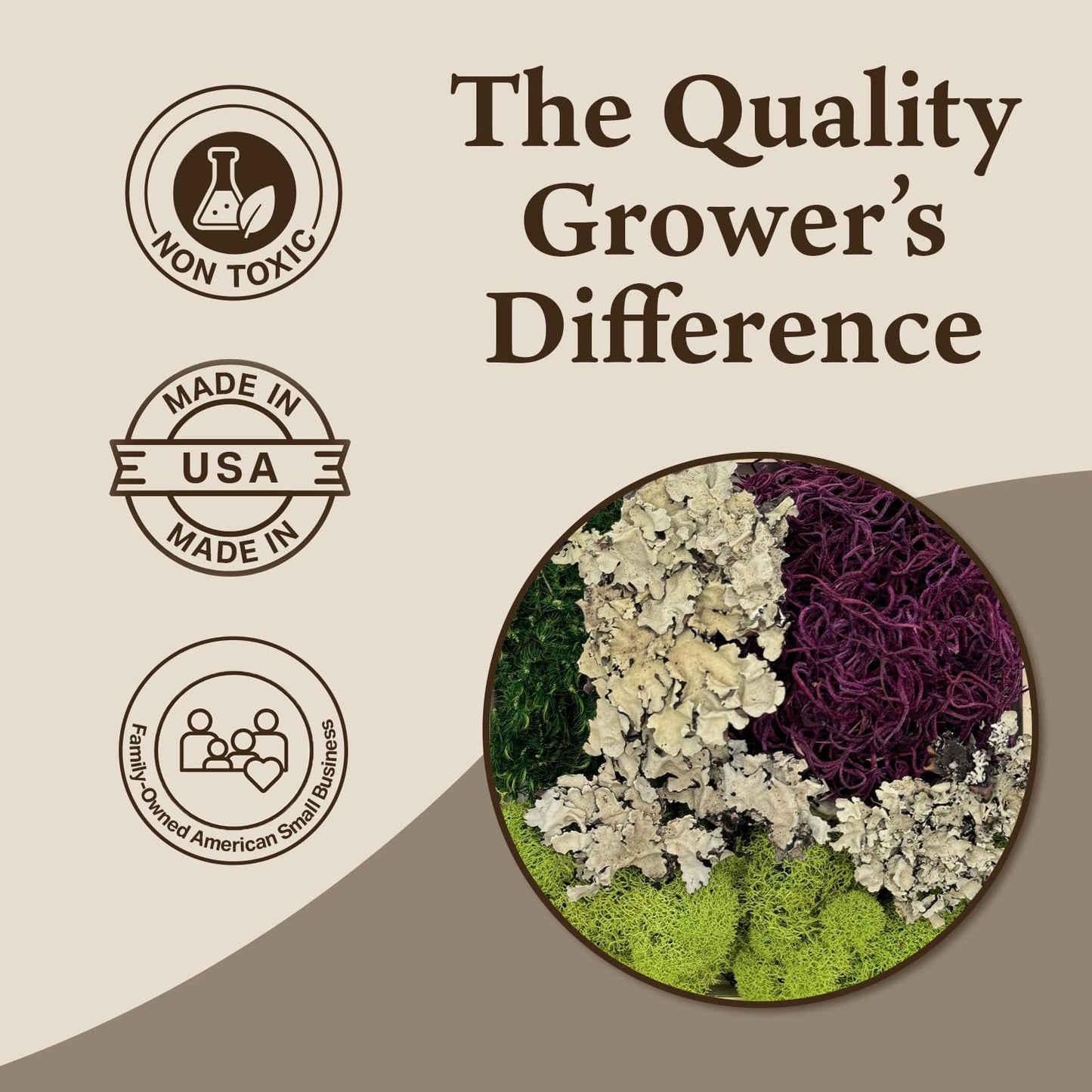 Quality Growers - The Moss Collection Variety Pack - Natural Decorative Moss - Crafts, Home Decor, Art, Design & DIY Projects - Non-Toxic - Made in USA - Red Mix, Medium, 2-Pack