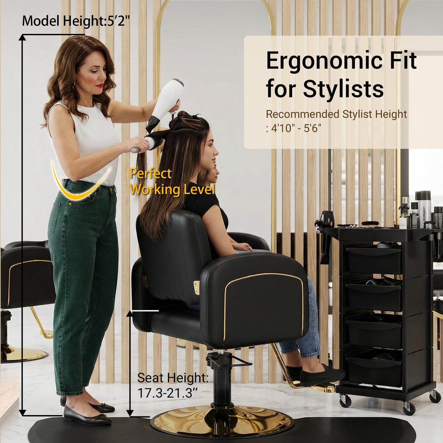 Baasha Professional Black & Gold Salon Chair, Luxury Hydraulic Styling Chair with Soft PU Leather, High-Density Foam Cushion, 360° Swivel, Stainless Steel Frame, Ergonomic Design, 330 lbs Capacity