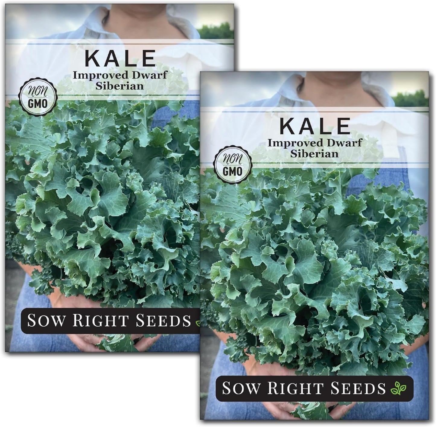 Packet (2) Sow Right Seeds - Dwarf Siberian Improved Kale Seed for Planting - Non-GMO Heirloom with Instructions