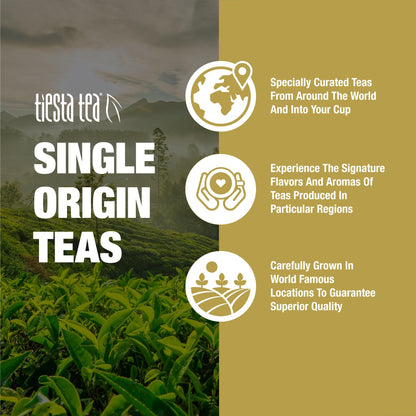 Tiesta Tea - Jasmine Pearls Green Tea, Loose Leaf, Single Origin Premium Jasmine from China, Pure Unblended Medium-Caffeinated Blend, Makes Hot or Iced & Up to 200 Cups, 16oz Resealable Bulk Pouch