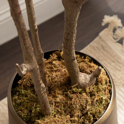Kate and Laurel Oliveira Faux Olive Tree with Portell Metal Planter Pot, 7 FT, Gold, Potted Artificial Olive Plant Tree with Realistic Foliage and Added Moss, Fake Plant Living Room Decor