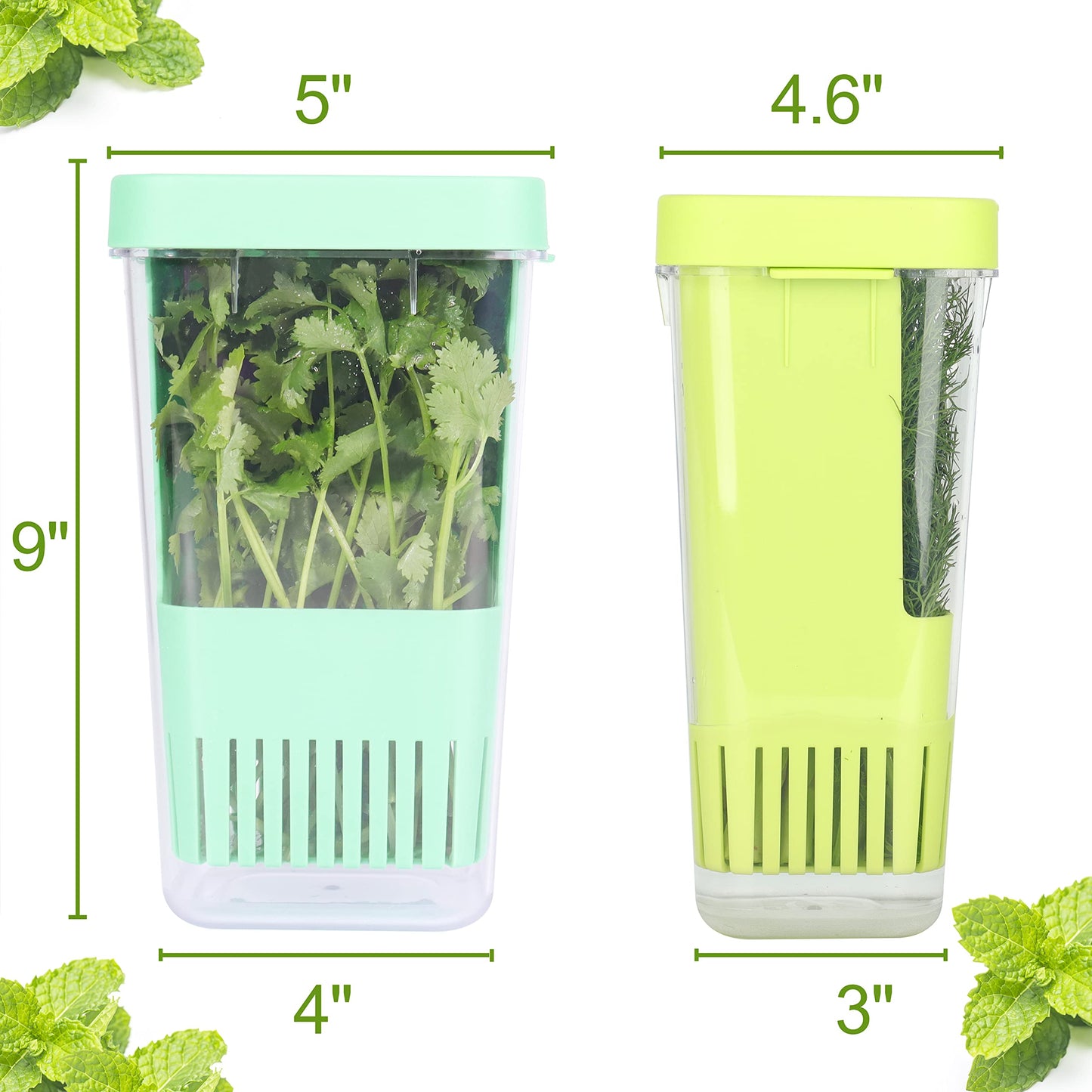 LAWNFUL 2 Pack Fresh Herb Keeper for Refrigerator, Clear BPA-Free Herb Saver, Storage Container for Cilantro, Parsley, Thyme, Mint & Asparagus, Preserver Keeps Fresh Herbs for 3 Times Longer