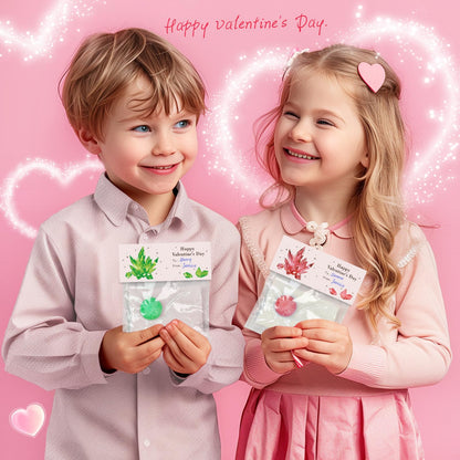 rifamee 24 Pack Valentines Day Gifts for Kids Science Kit Planting Crystal Classroom Exchange School Activities Party Favors for Boys and Girls with Card
