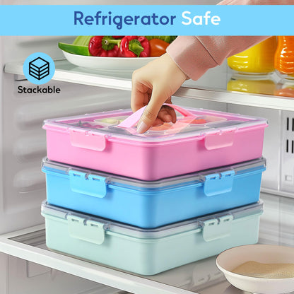 Snackle Box Container for Adults with 9 Compartment, Divided Serving Tray Snack Box Containers with Lid and Handle, Charcuterie Boxes Portable Snack Platter for Fruit Veggie Party Travel, Blue