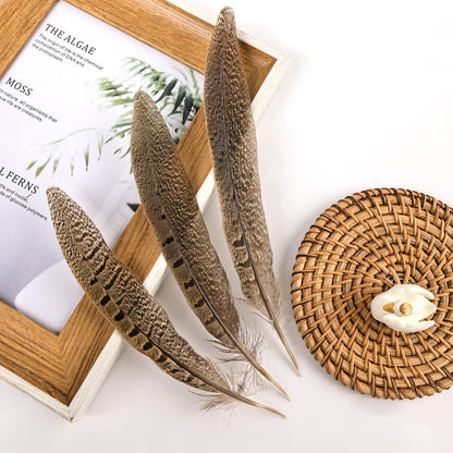 THARAHT 24pcs Male Ringneck Pheasant Tails Feathers Natural Feathers 8-10inch 20-25cm for Crafts Home Wedding Party Performance DIY Decoration Male Pheasant Feathers