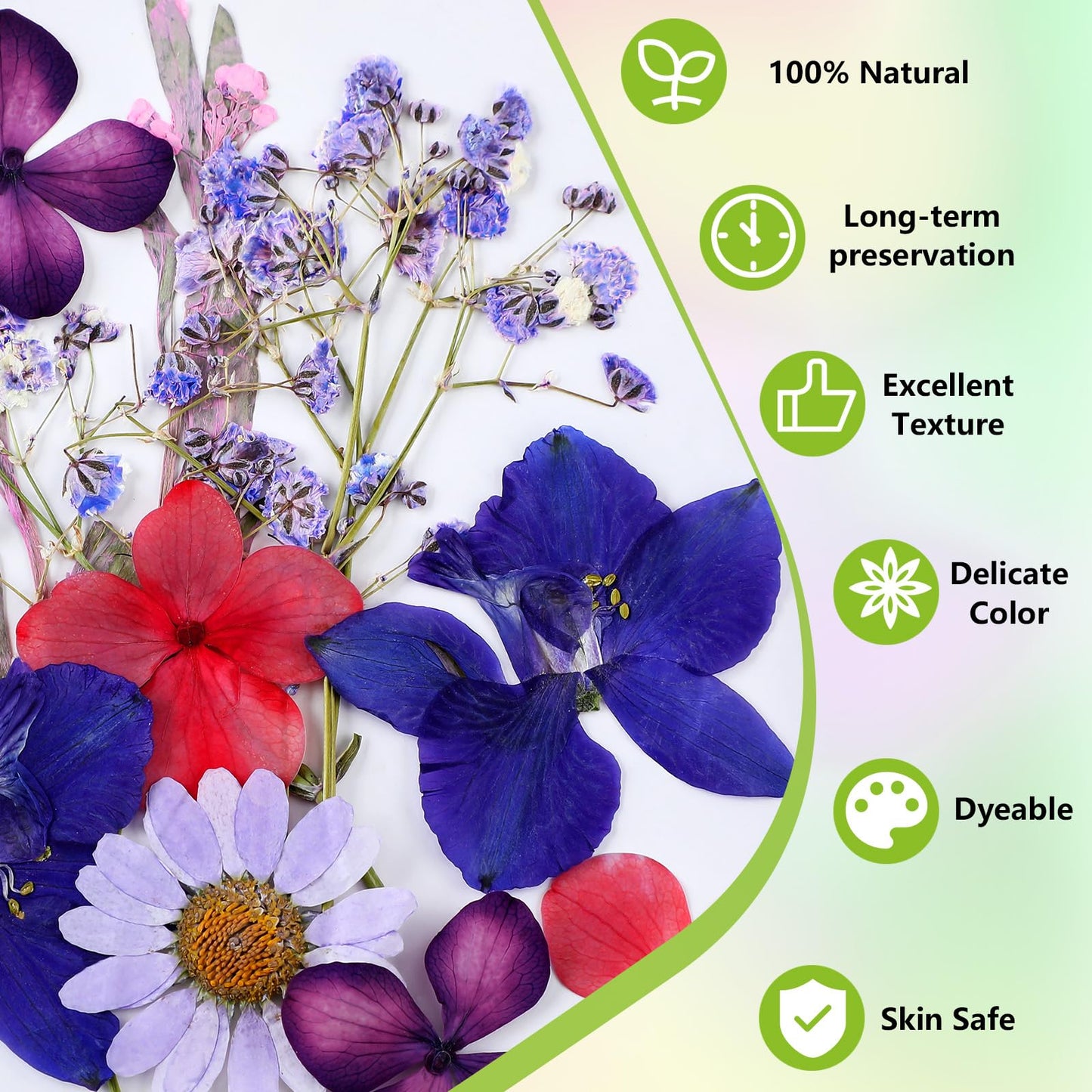 MTLEE 24 Pack Dried Pressed Flower Candle Painting Kit 6 White Pillar 6 Dried Pressed Flower 10 Tealight Candle Tweezer Brush for Galentines Girls Night Birthday Wedding Party DIY Crafts(4 Inch)