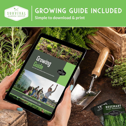 Three Sisters Collection Seed Vault - Non-GMO Heirloom Seeds for Planting Vegetables - Sweetcorn, Butternut Winter