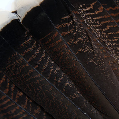 THARAHT 24pcs Natural Wild Turkey Tails Feathers Quill Bulk 10-12inch 25-30cm for DIY Crafts Project Collection Wedding Decoration Wild Turkey Tails Feather